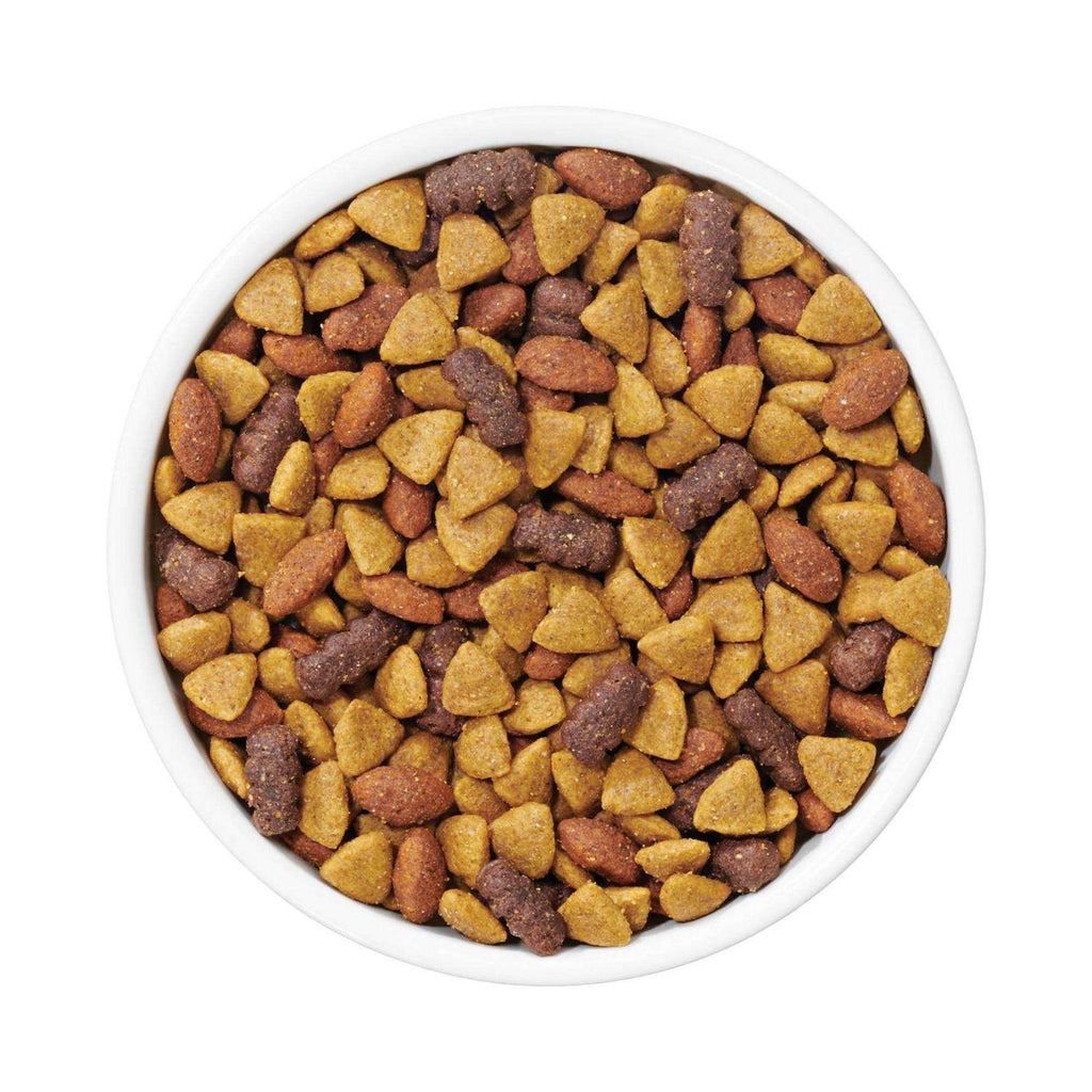 Complete Adult Dry Dog Food K552