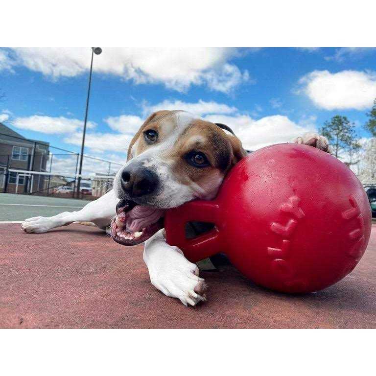 Tug N Toss Ball A6923
