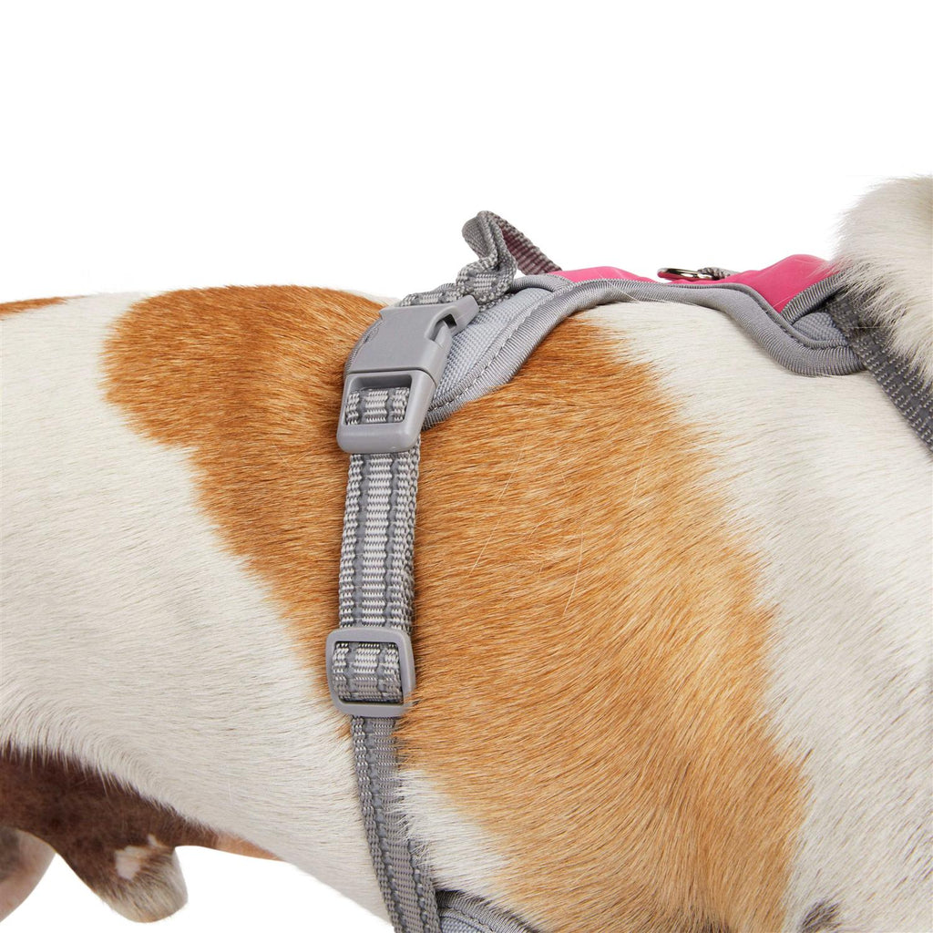 Reflective Dog Harness G449