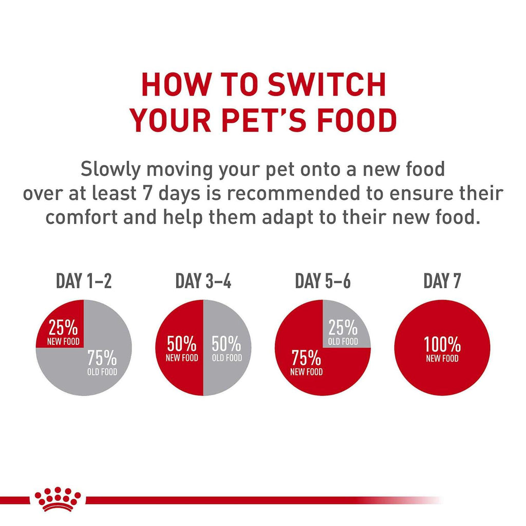 Chihuahua Adult Dry Dog Food J9336