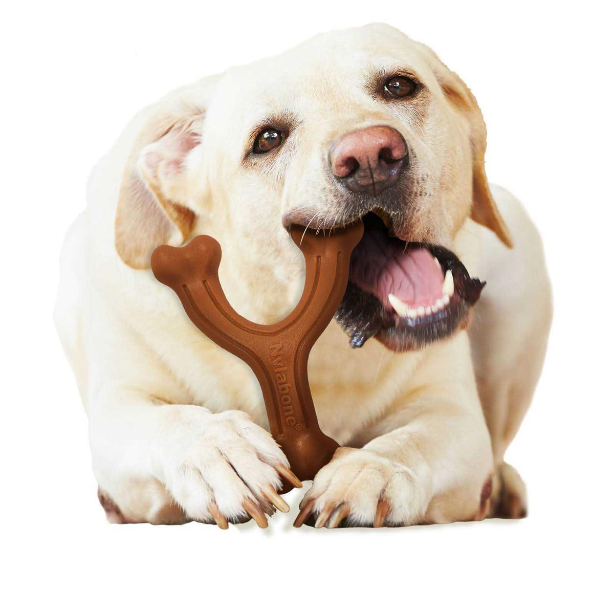 Power Chew Dog Toy M35841