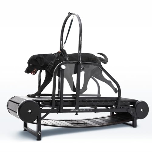Non-Electric Dog Treadmill with Step Counter, Adjustable Incline & Brake I6034