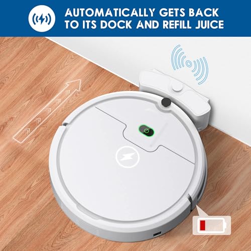 2900Pa Tangle Free Robotic Vacuum Cleaner R41491