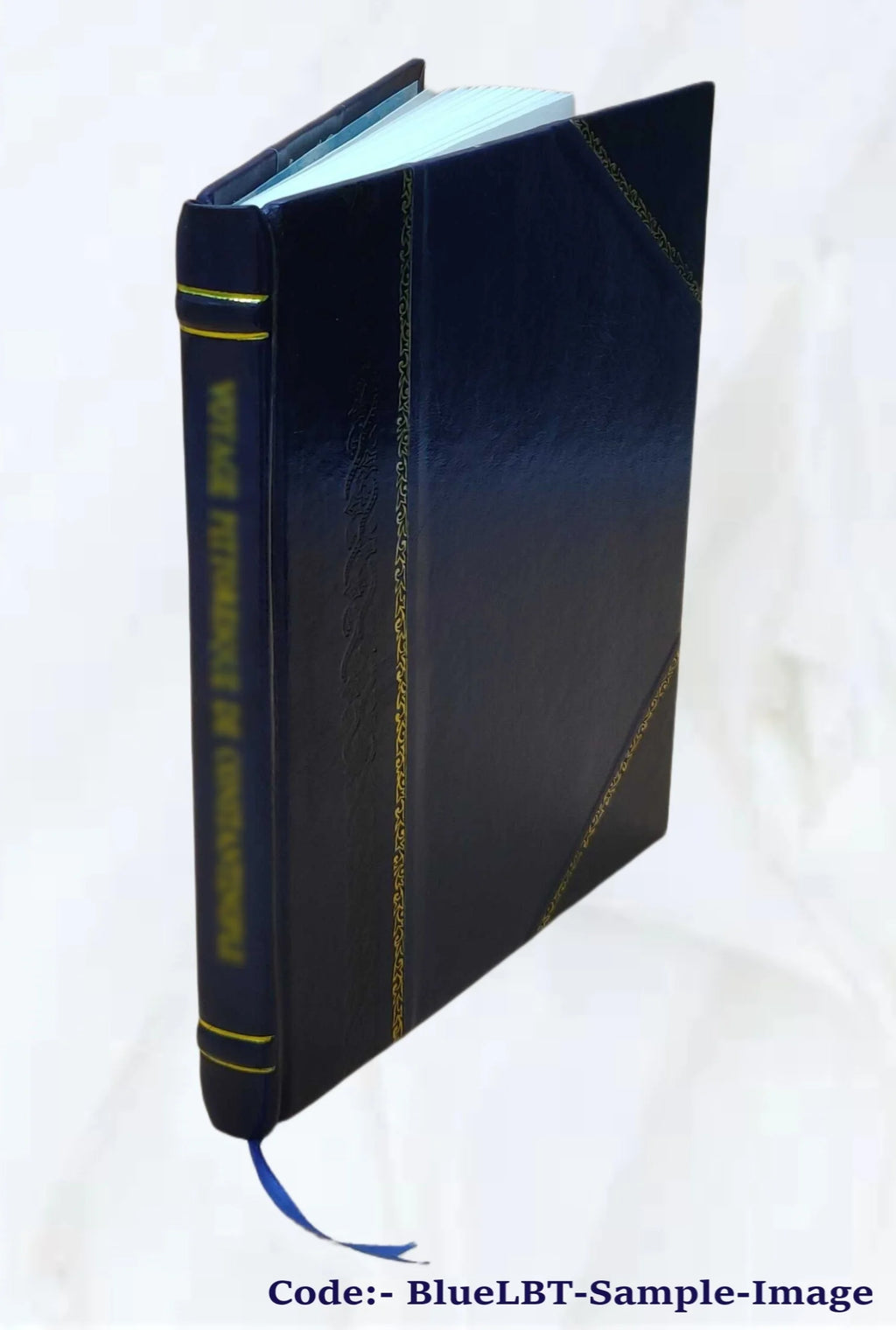 Leather Bound Book N373673