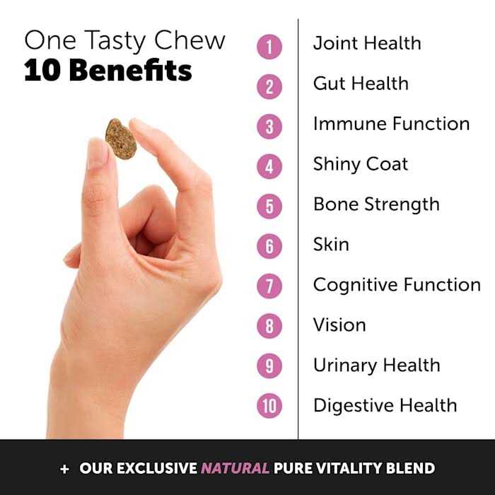 10 in 1 Multivitamin Glucosamine Soft Chews H42866