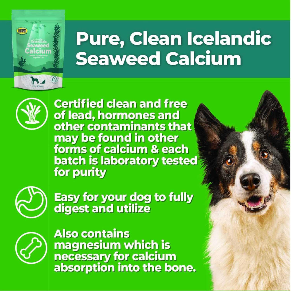 Seaweed Calcium for Dogs and Cats L9190