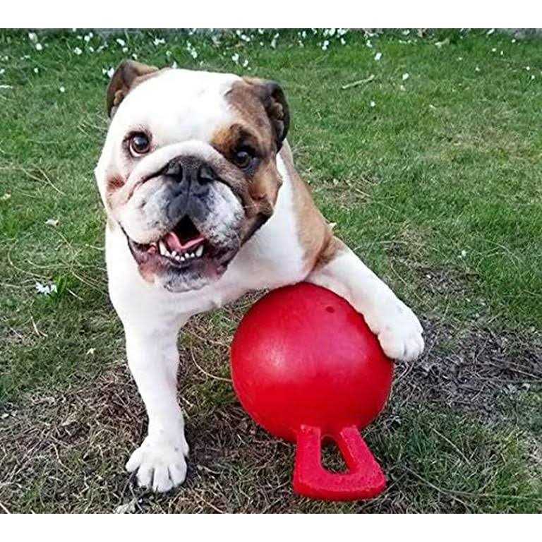 Tug N Toss Ball A6923