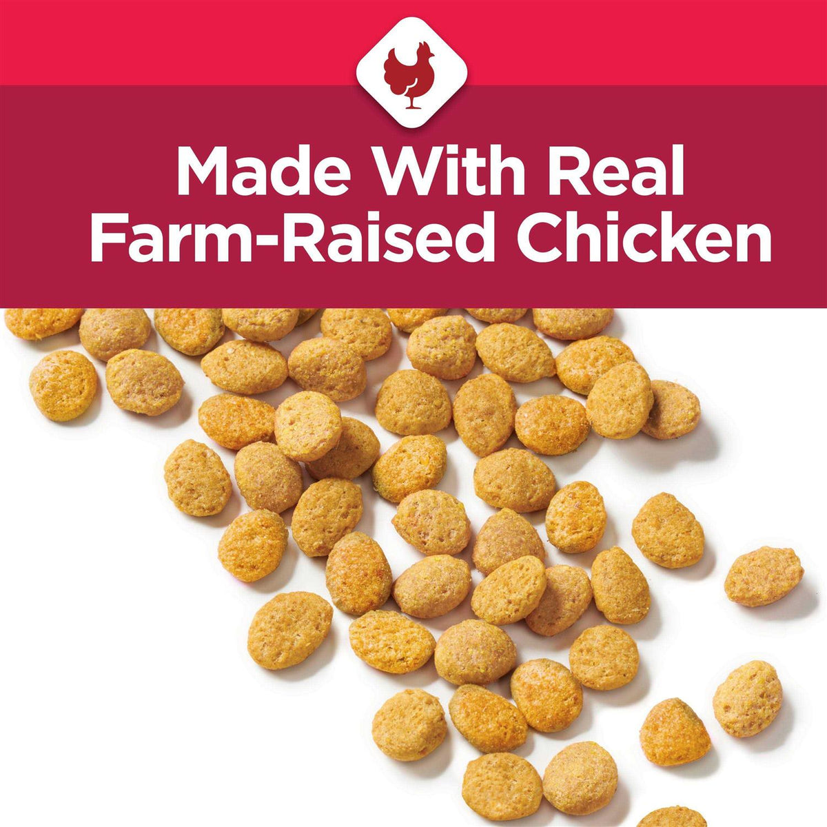 Dry Cat Food E597197