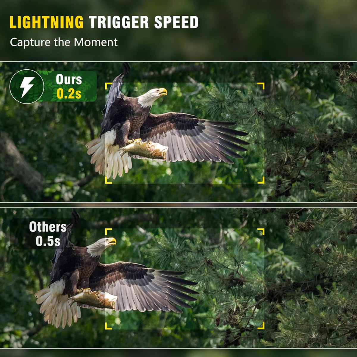 4K 32MP Wildlife Camera with Night Vision T236