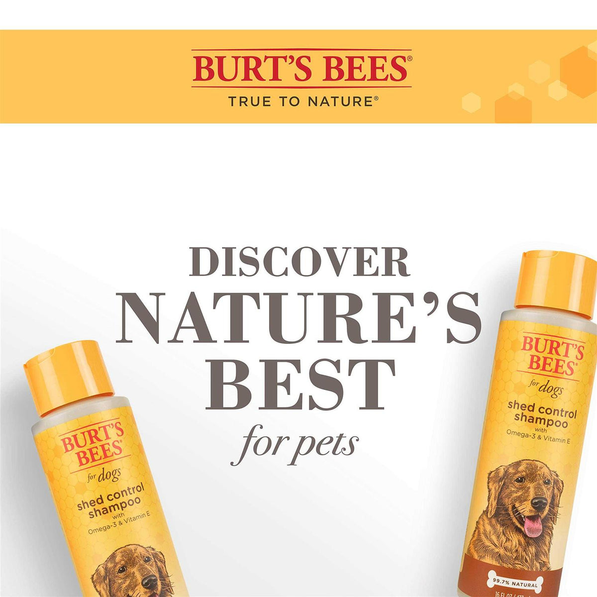 Shed Control Shampoo for Dogs with Omega-3 Vitamin E B755