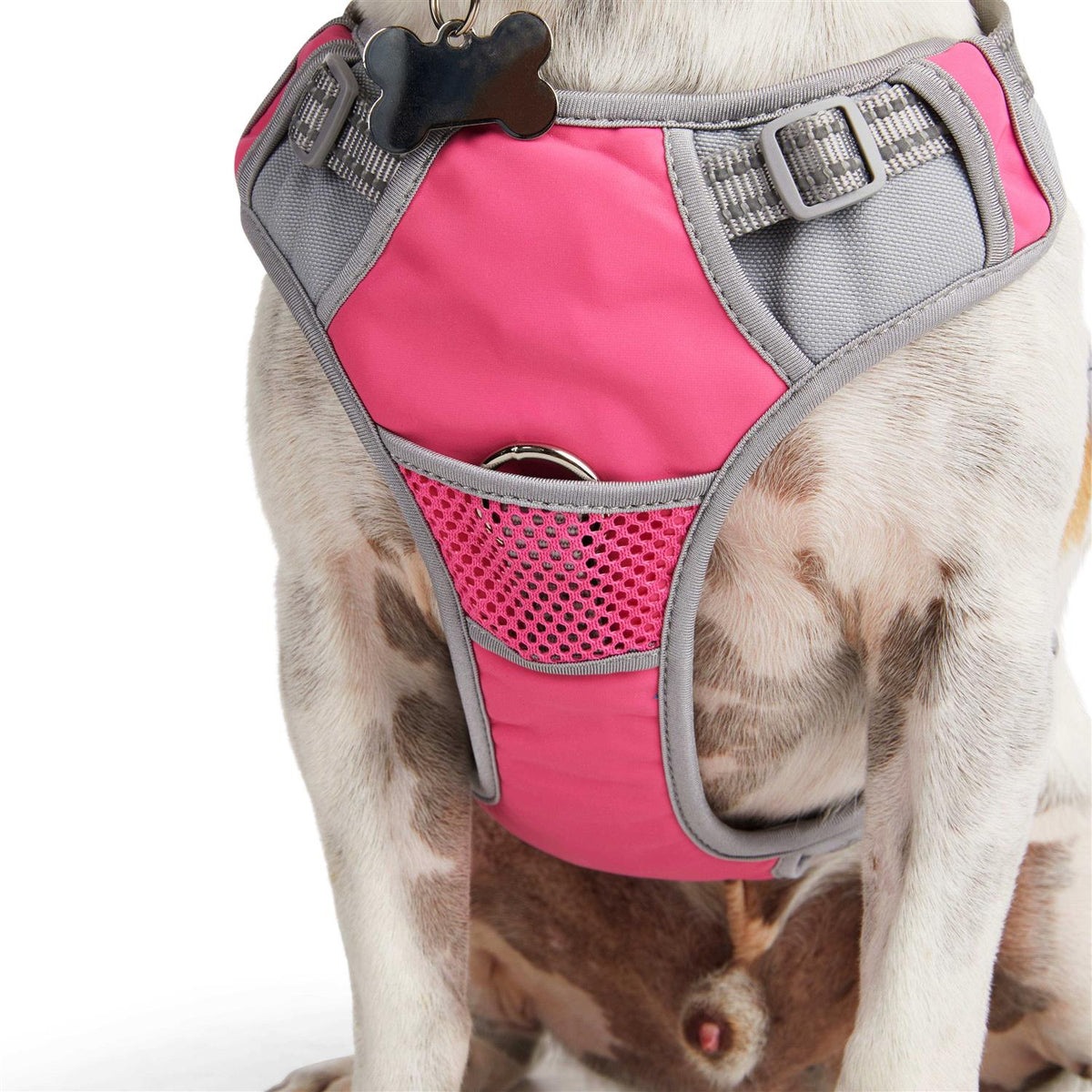 Reflective Dog Harness G449