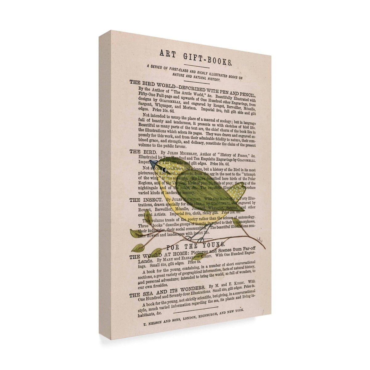Willow Warbler Canvas Art T4681