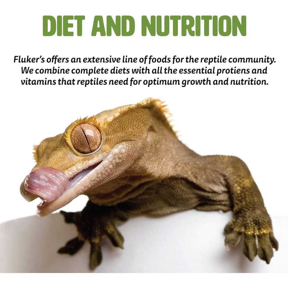 Turtle Treat P884