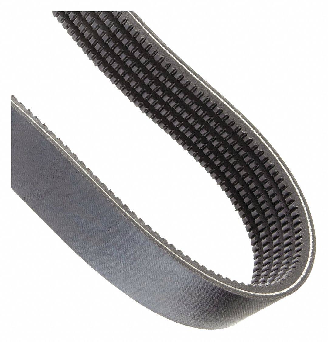 Banded Cogged V-Belt W28995