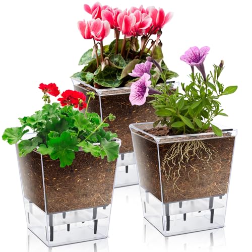 3 Pack 2.7 Inch Self Watering Planter Pot A897
