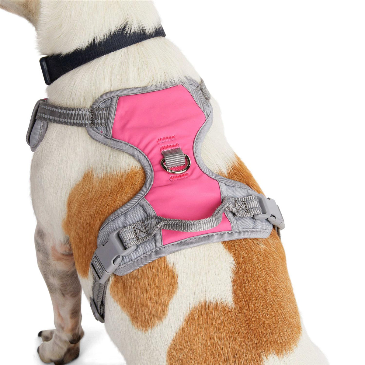 Reflective Dog Harness G449