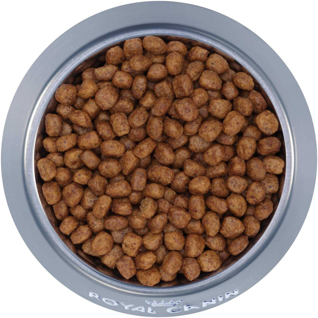 Chihuahua Adult Dry Dog Food J9336