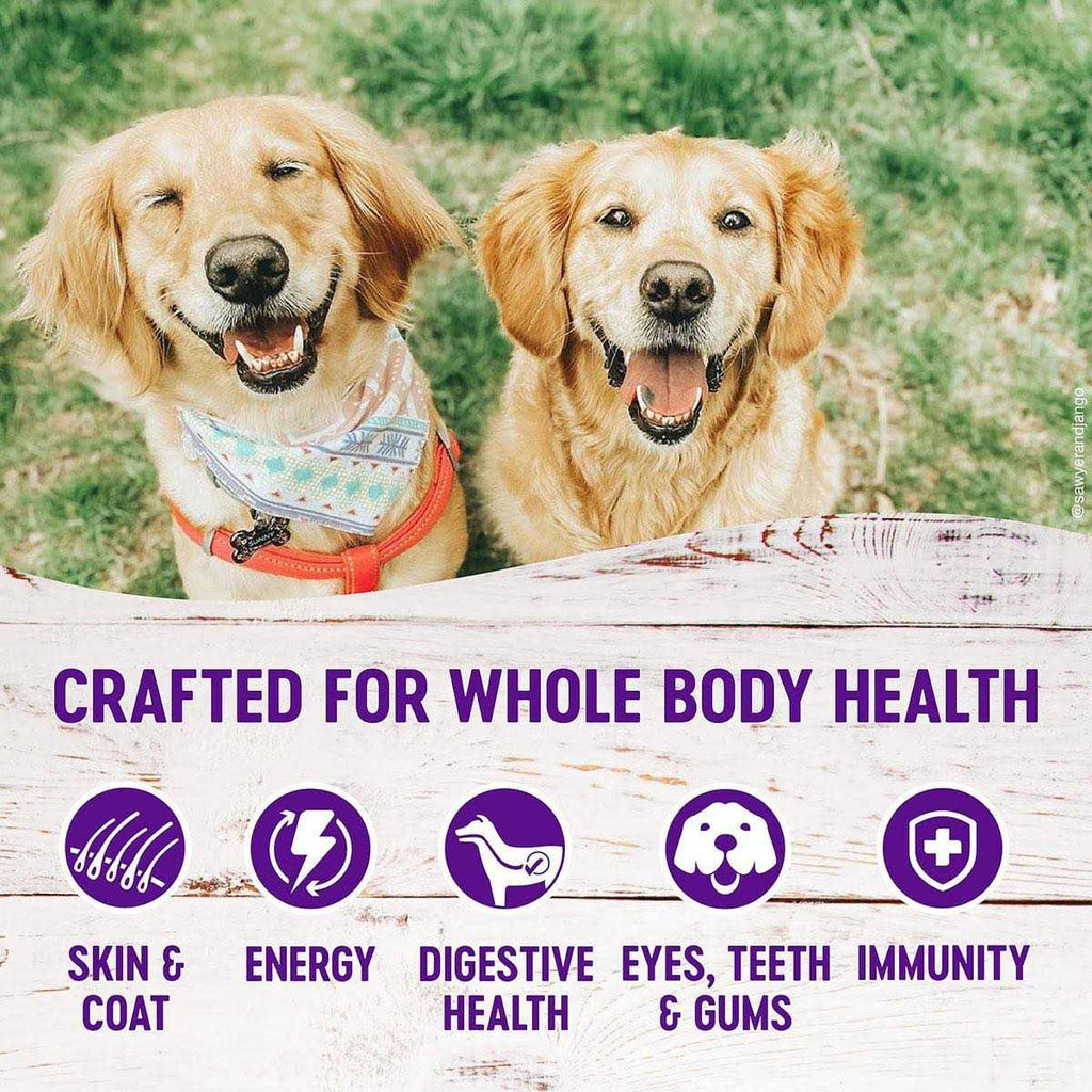Lamb & Barley Dry Dog Food A92665