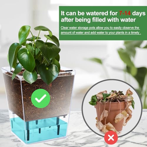 3 Pack 2.7 Inch Self Watering Planter Pot A897