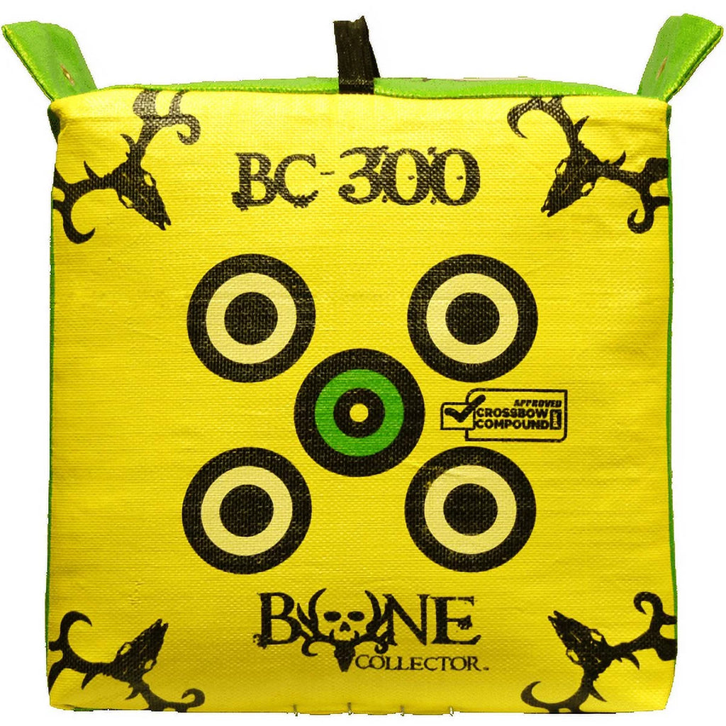 Archery Target I554