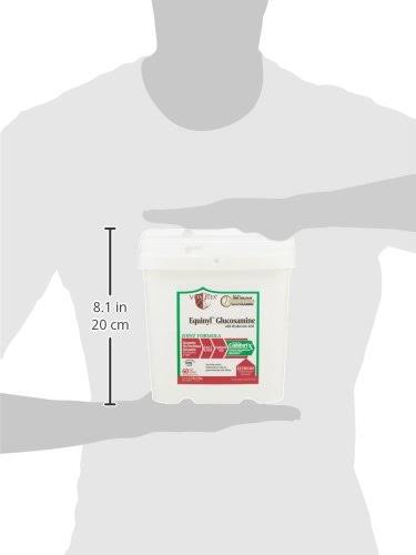 Equinyl Glucosamine with Hyaluronic Acid Joint Formula P5880