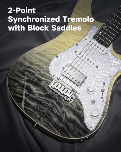 39 Inch Electric Guitar with Tremolo Bridge S53319