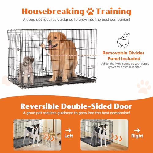 Large 36 Inch Double Door Folding Metal Wire Dog Crate with Divider Panel and Plastic Leak-Proof Pan Tray O34057