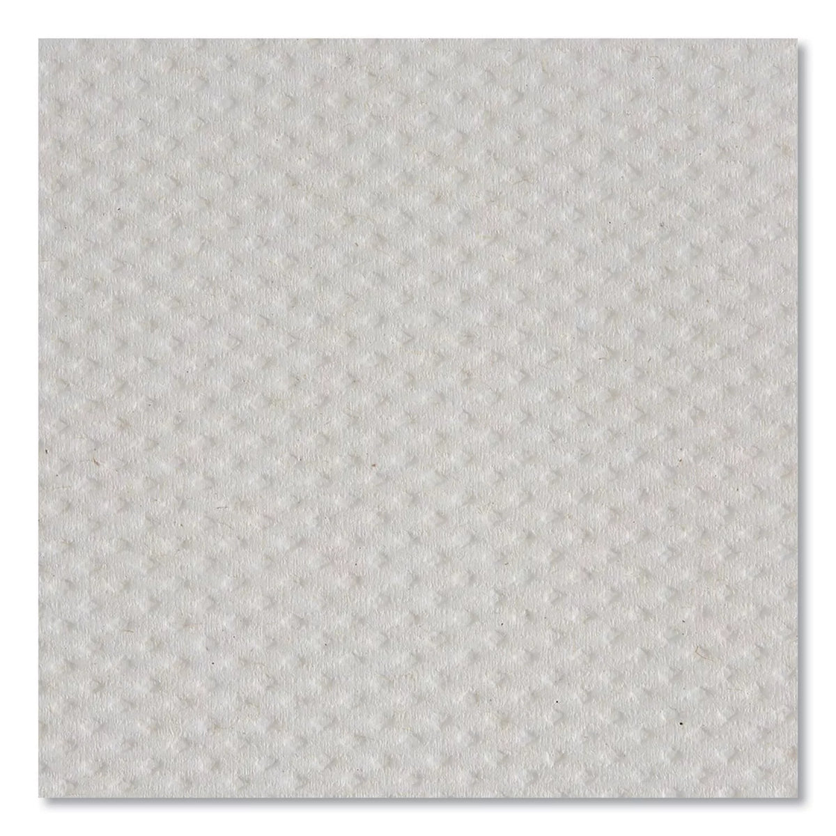 Blue Select 2-Ply Paper Towels, 12 Rolls V7402