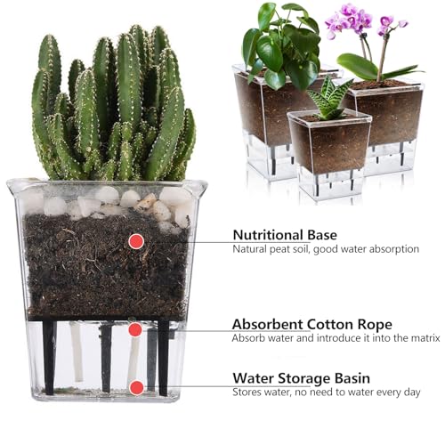 3 Pack 2.7 Inch Self Watering Planter Pot A897