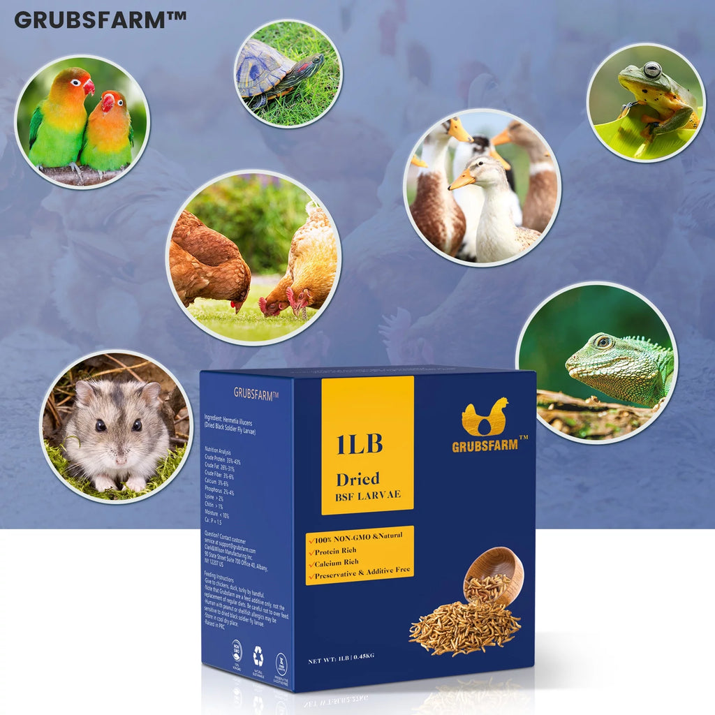 5 LBS Chicken Treats E7202