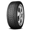 275/25ZR24 XL D8101