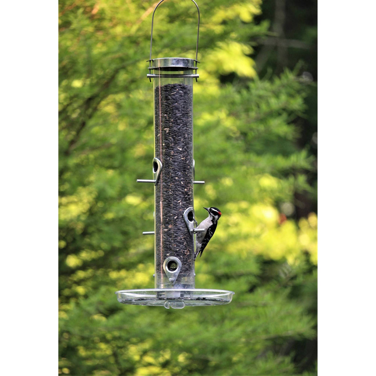 20-in Bird Feeder H902606