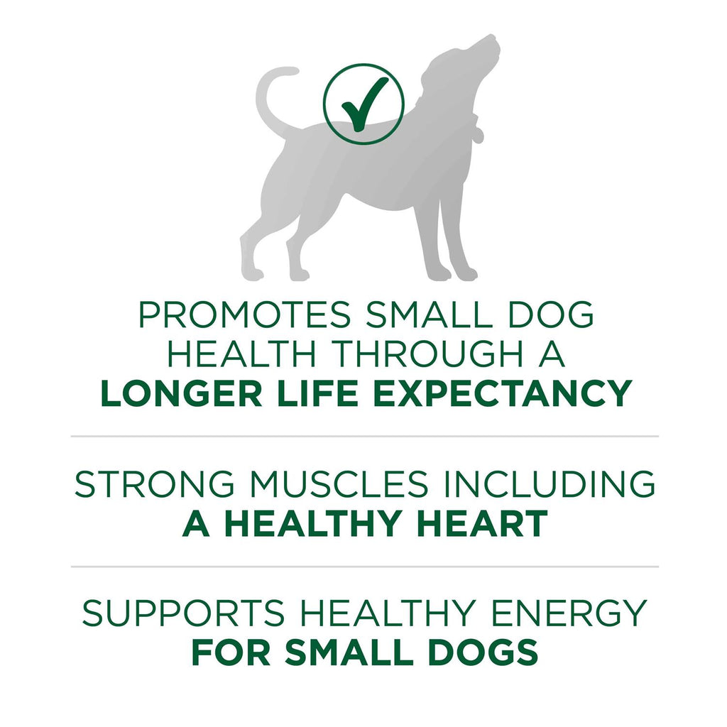 Lamb & Rice Formula Small Breed Dry Dog Food T412