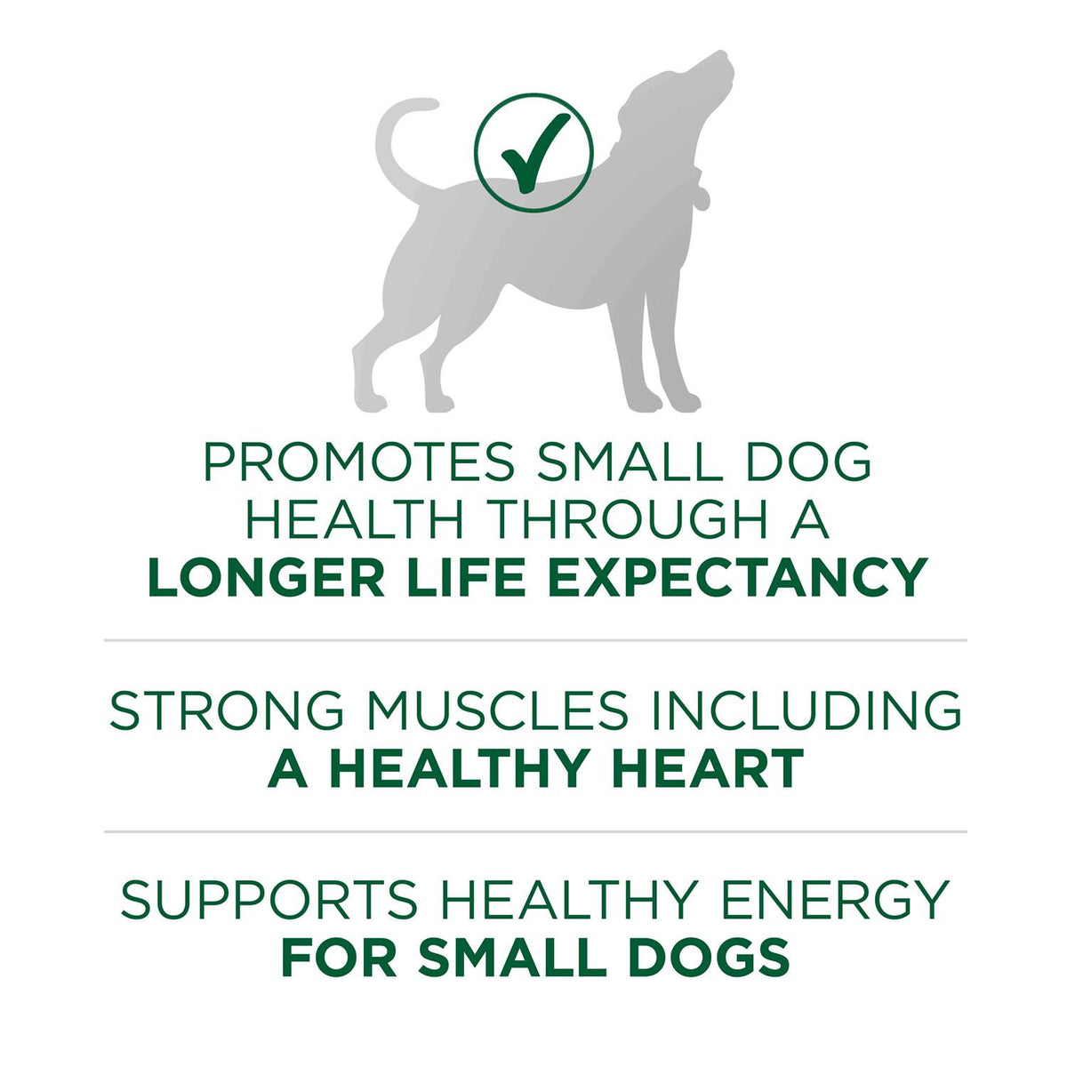 Lamb & Rice Formula Small Breed Dry Dog Food T412