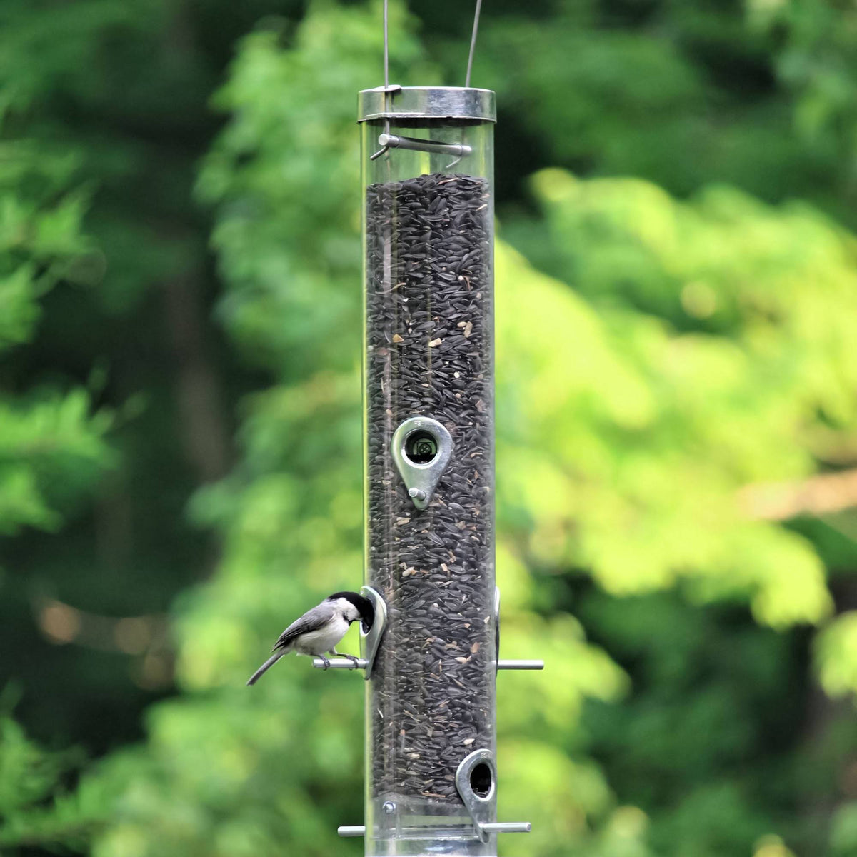 20-in Bird Feeder H902606