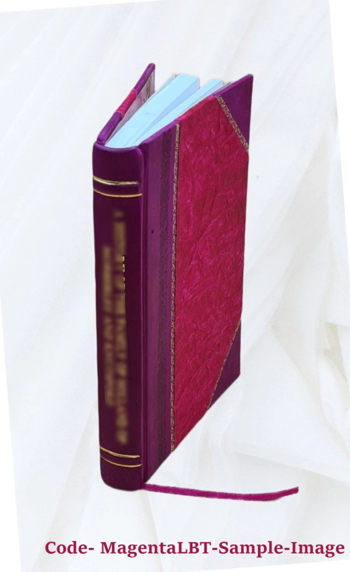Leather Bound Book N373673