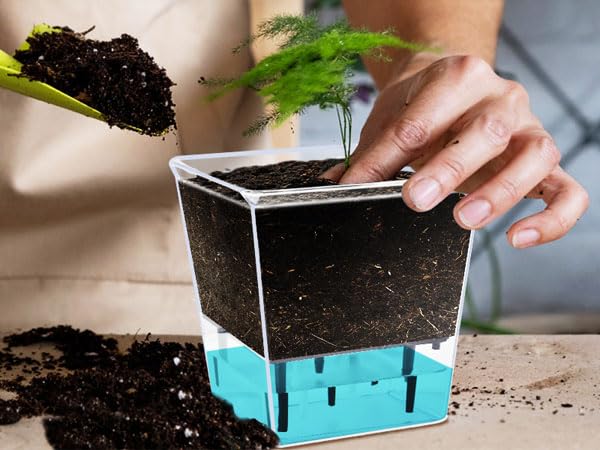 3 Pack 2.7 Inch Self Watering Planter Pot A897