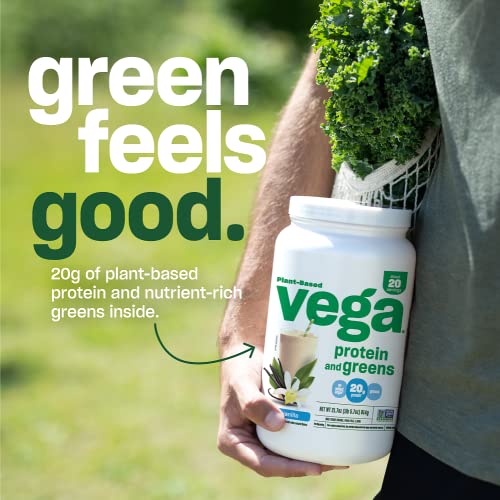 Chocolate Plant Based Pea Protein Powder, 1lbs S411846