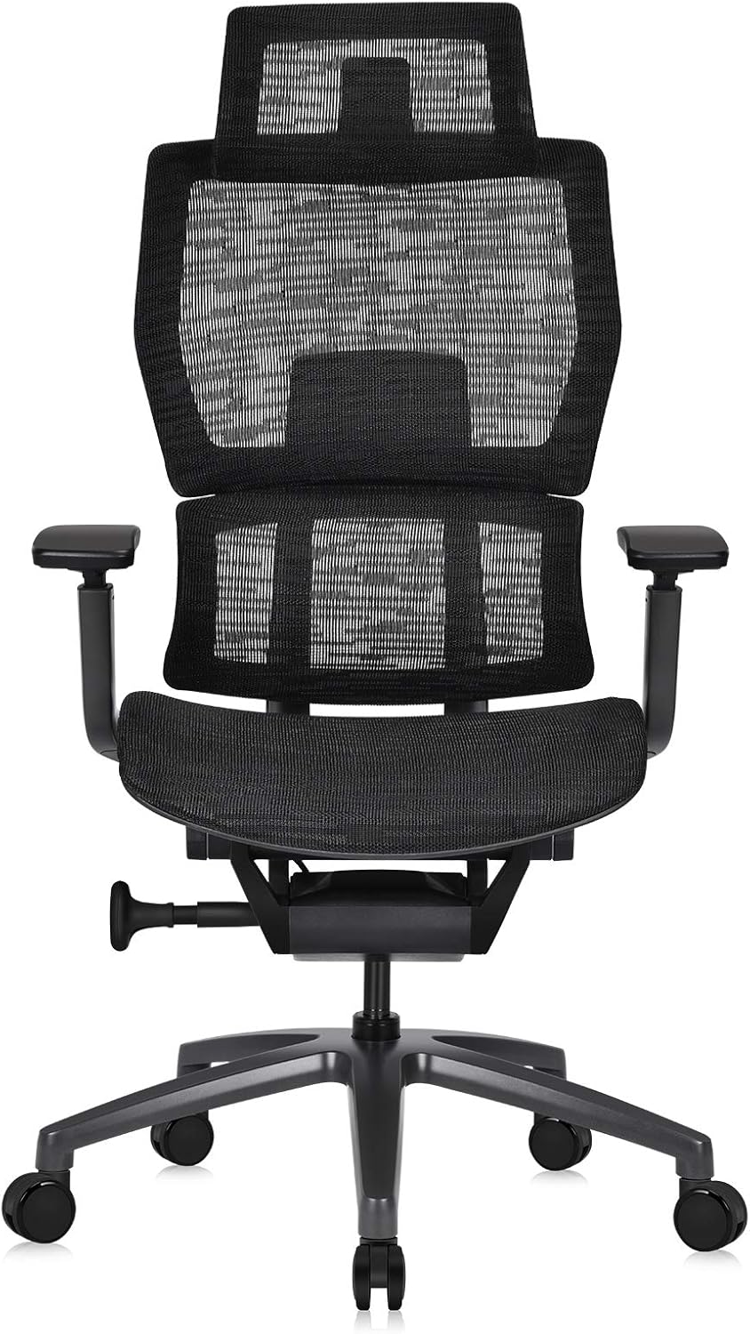 Ergonomic Office Chair with Headrest, Aluminum Frame, Standard Carpet Casters R690251