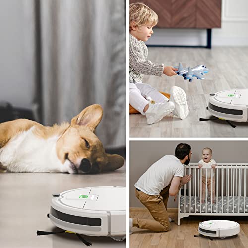 2900Pa Tangle Free Robotic Vacuum Cleaner R41491