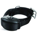 Leash Training Collar I26559