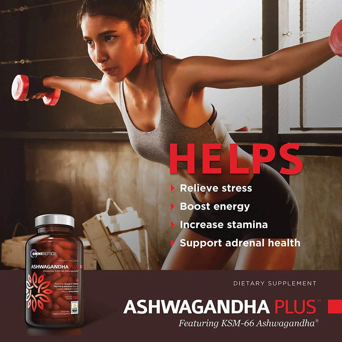 1300 mg KSM-66 Ashwagandha Supplement, 120 Vegan Capsules P766