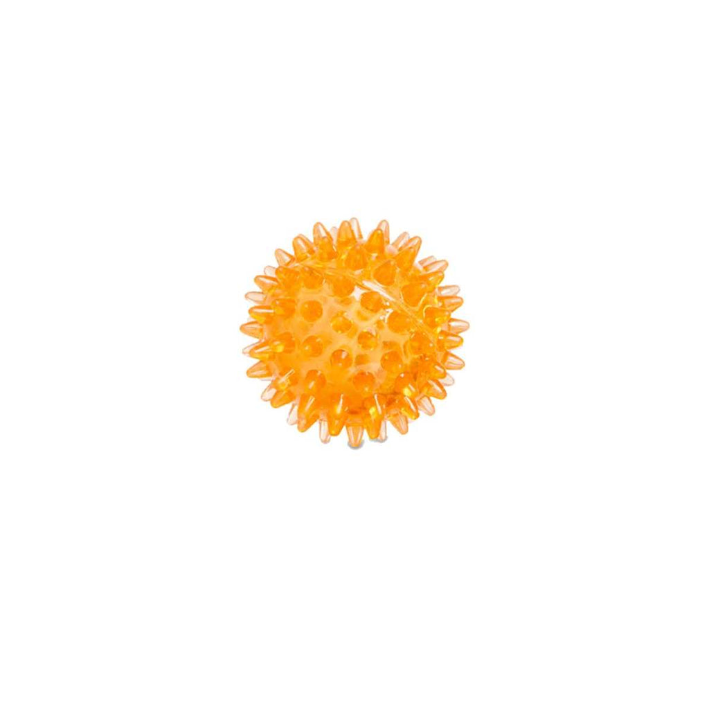 Spiny Ball Dog Chew Toy Q746