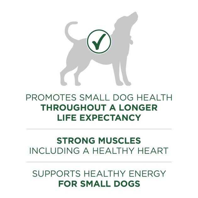 Lamb & Rice Formula Small Breed Dry Dog Food T412