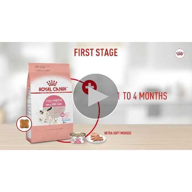 Canned Cat Food O406418