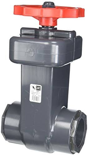 PVC Schedule 80 Gate Valves I42445