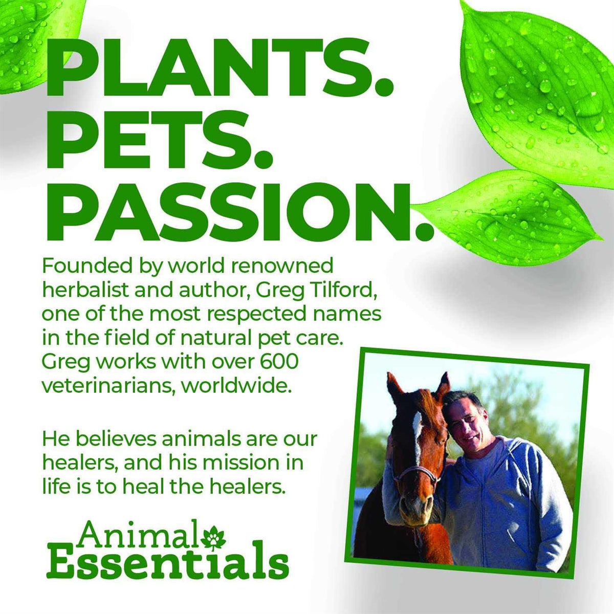 Seaweed Calcium for Dogs and Cats L9190