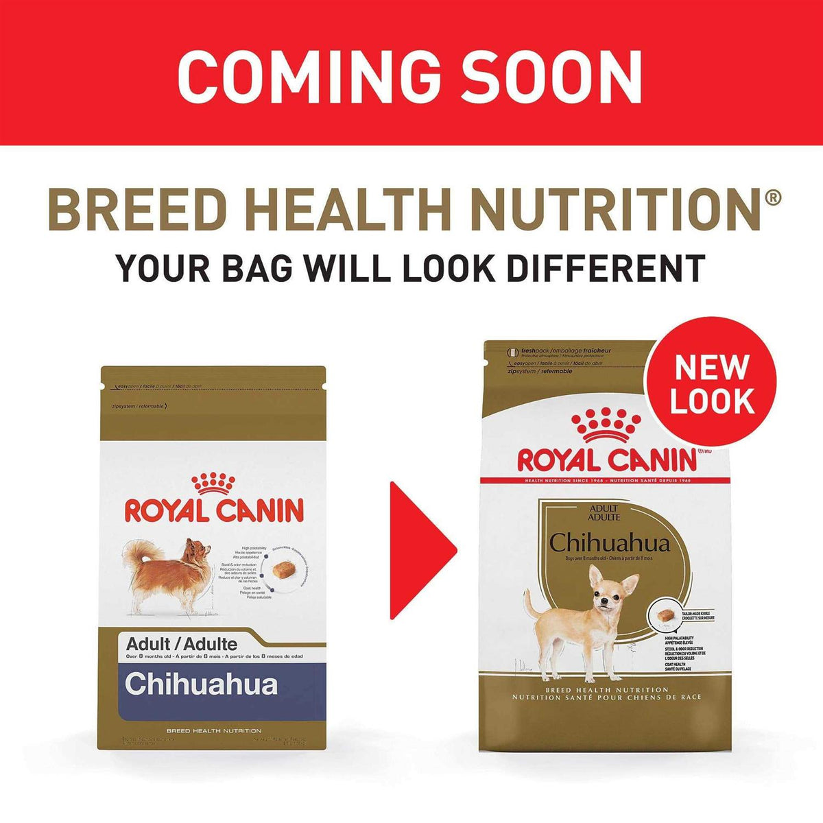 Chihuahua Adult Dry Dog Food J9336