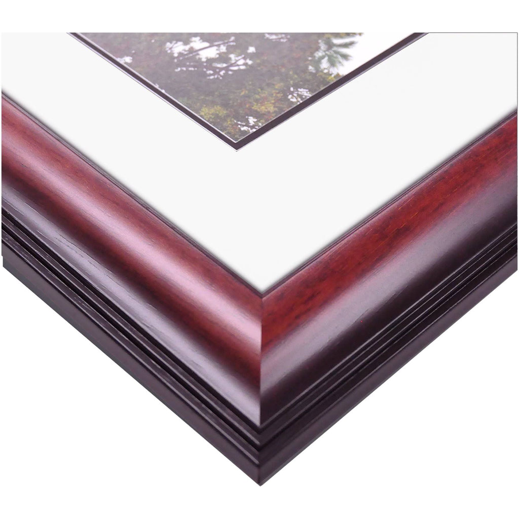 17W x 14H Diploma Frame E9431