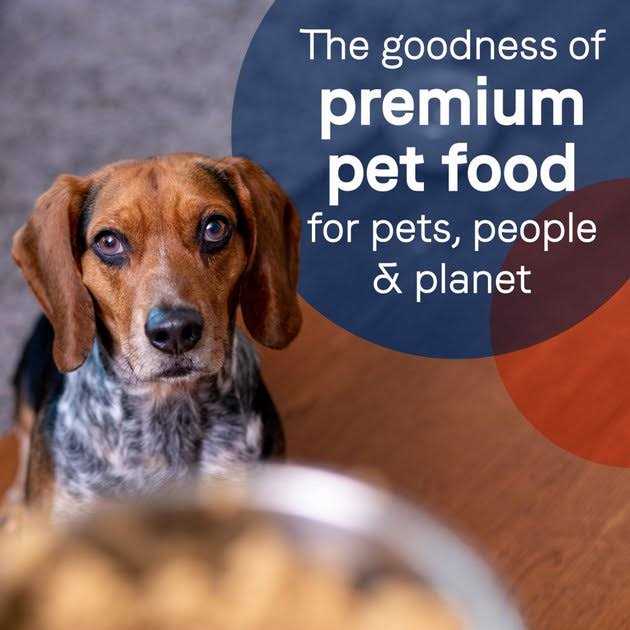 Grain-Free Salmon & Sweet Potato Canned Dog Food X8906